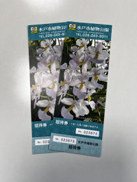 ペア招待券