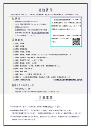 創業期支援補助金チラシ裏