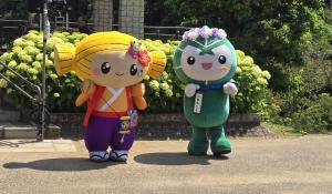 みとちゃん