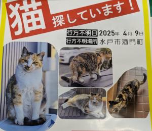 逸走722