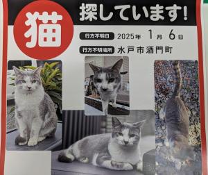 逸走721