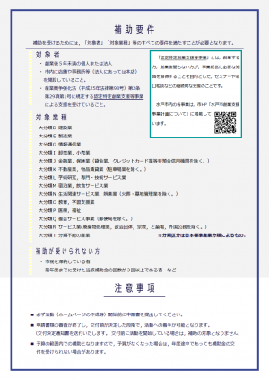 創業期支援補助金チラシ裏