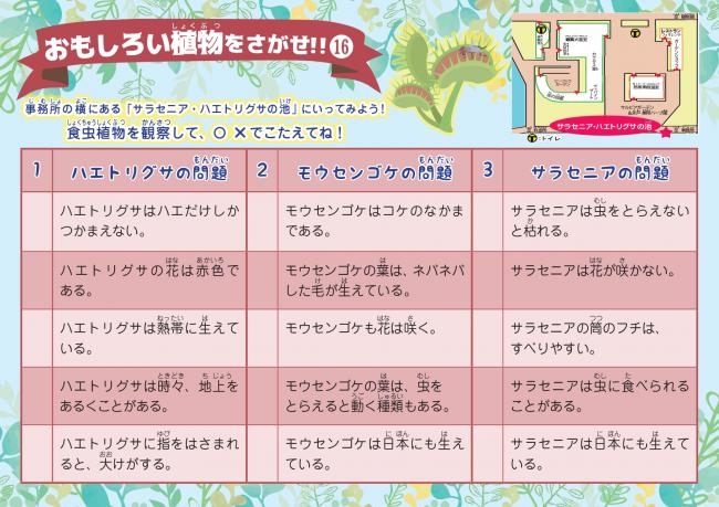 クイズラリー16裏