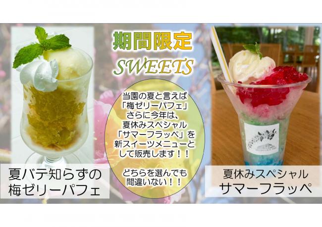夏休みスペシャル限定メニュー