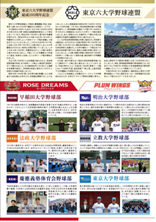 東京六大学野球オールスター戦茨城大会チラシ裏面