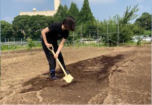 土に混ぜている写真