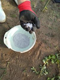 化成肥料の写真