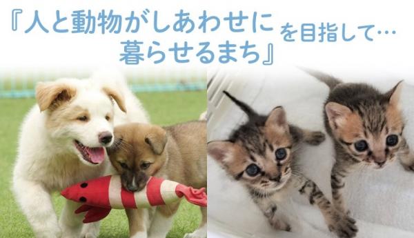 トップページ