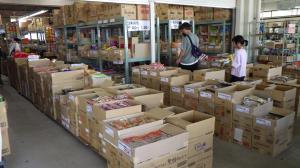 関連店舗売場見学３