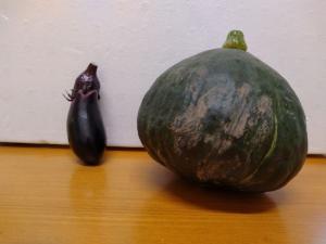 かぼちゃの写真