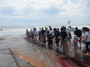 たくさん魚などが捕れているか確認しながら、網を引き寄せている写真です