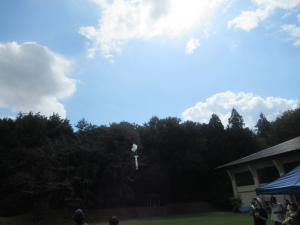 pic1