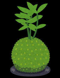 苔玉