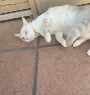 逸走744写真②