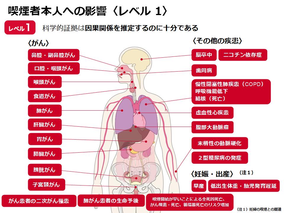 因果関係を推定する証拠が十分(確実):レベル1