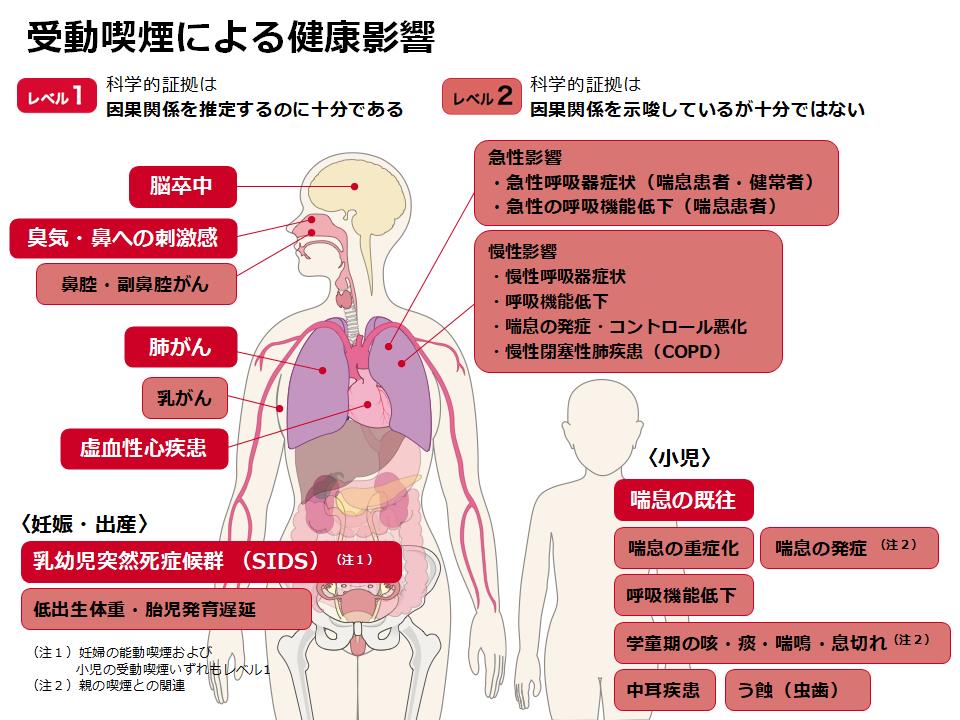 受動喫煙による健康影響