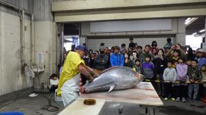 マグロ解体ショーの様子2