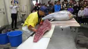 マグロ解体ショーの様子