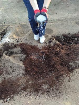 化成肥料を撒く様子