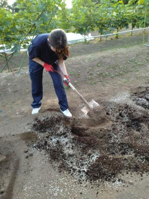 スコップで土を混ぜる様子