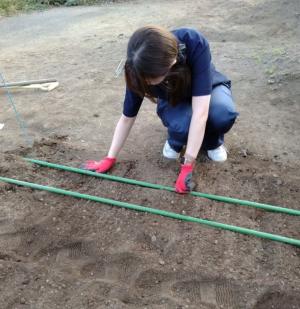 支柱で畑にくぼみをつくる様子