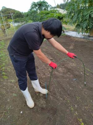 支柱を土にさす写真