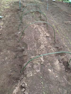 支柱がずらっと並ぶ様子