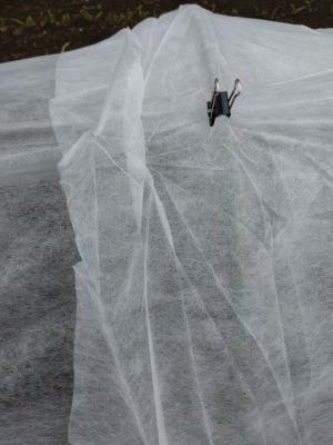 クリップで不織布をとめる写真