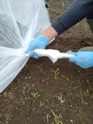 不織布の端を縛っている写真