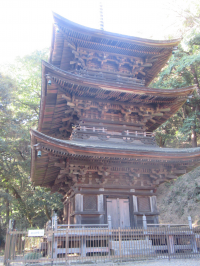 三重塔の写真です