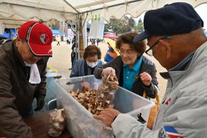 しいたけ詰め放題をしている写真です