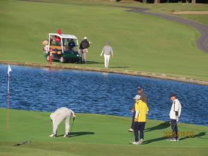 オープンゴルフの様子2