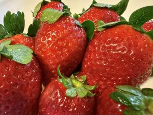 新鮮ないちご