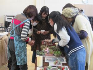 参加者たちが苗を選んでいる写真です。