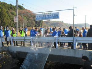 フナの稚魚の放流式です