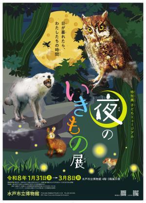 「夜のいきもの」展