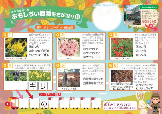 クイズシート18おもて