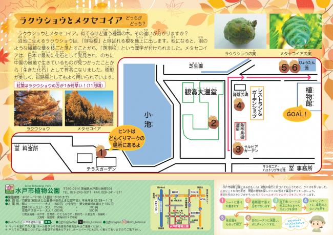 クイズシート18うら