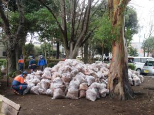 集められたたくさんの落ち葉です