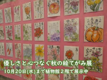 優しさと心つなぐ秋の絵てがみ展の画像