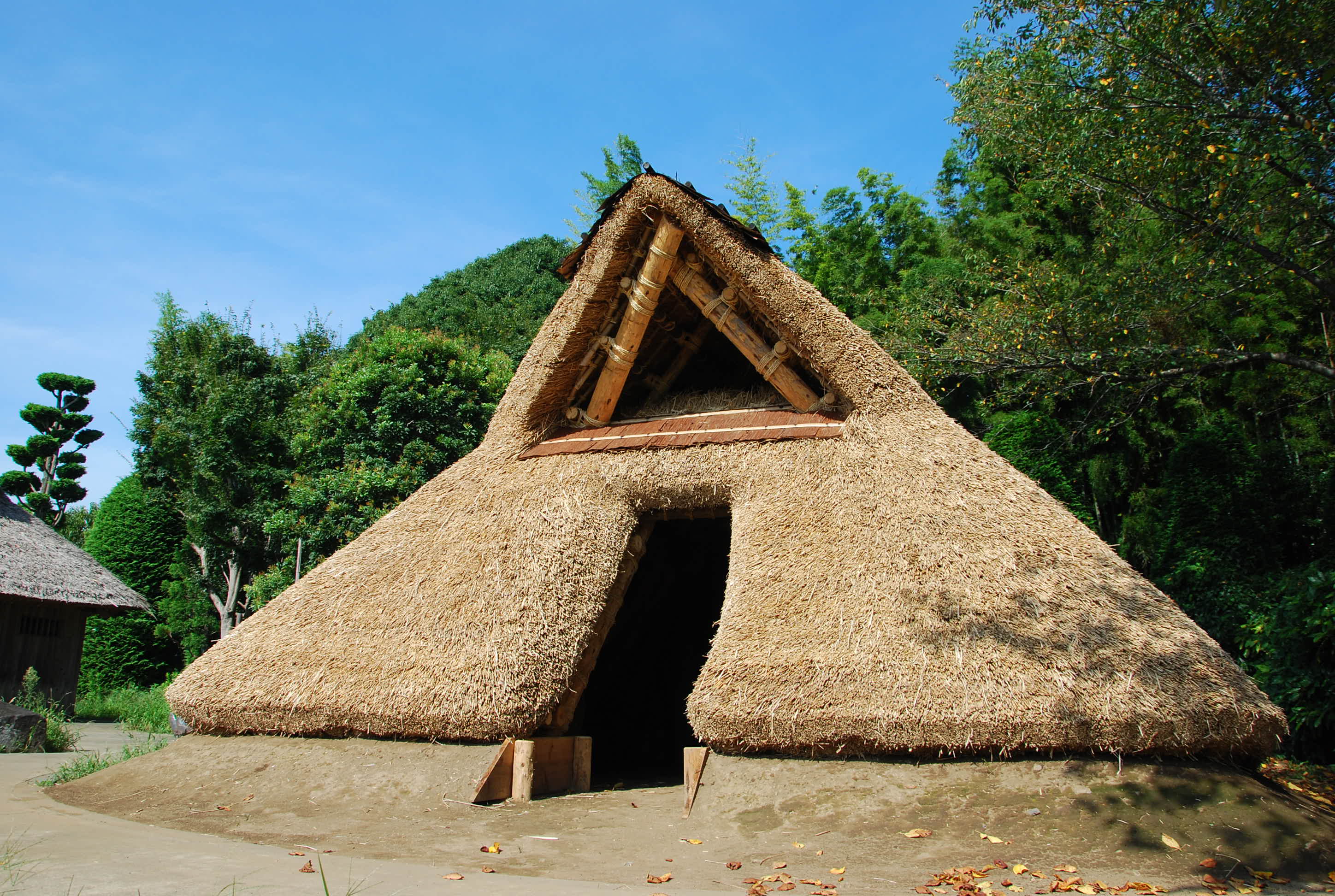古代住居の復元