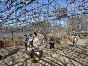 移動学習の写真5