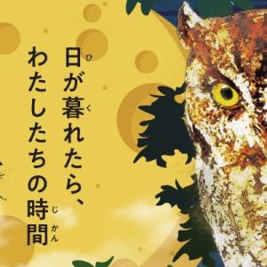 夜のいきもの展アイコン