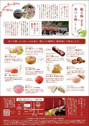 梅菓子チラシ裏