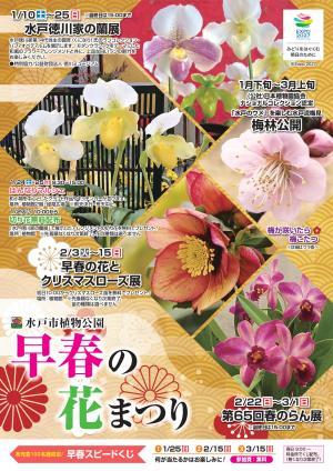 早春の花まつり