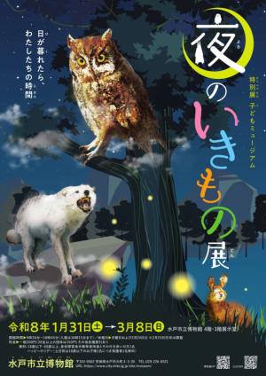 「夜のいきもの」展チラシ表