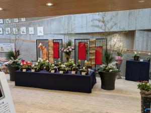 水戸徳川家の蘭