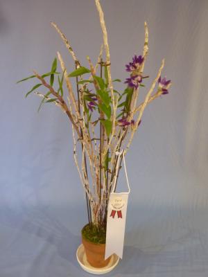 デンドロビューム