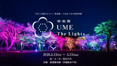 UME The Lights バナー