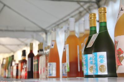 梅酒まつり画像